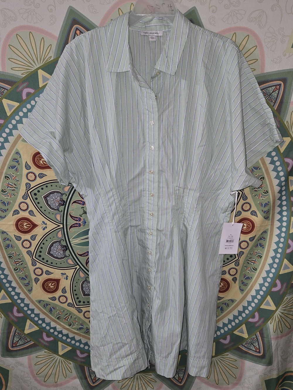Light Green Striped Mini Dress with Button Front